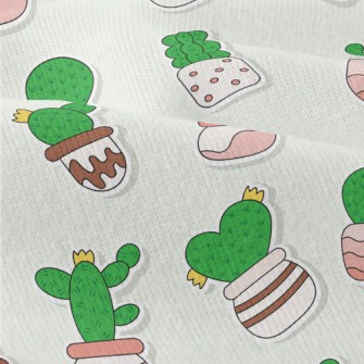 Succulent Cactus Potted Plants Modern Jersey