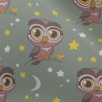Nocturnal Big-eyed Owl Chiffon