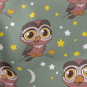 Nocturnal Big-eyed Owl Stretch Ponte
