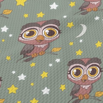 Nocturnal Big-eyed Owl Birdseye Piqué