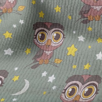 Nocturnal Big-eyed Owl Terry