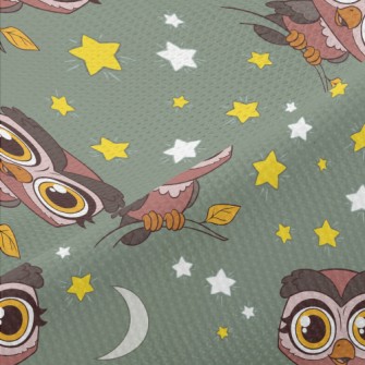 Nocturnal Big-eyed Owl Piqué