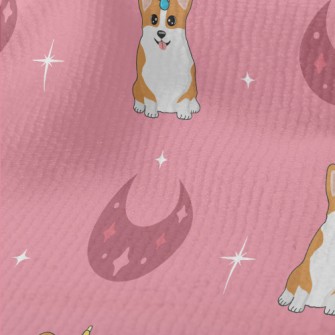 Crescent Unicorn Corgi Terry