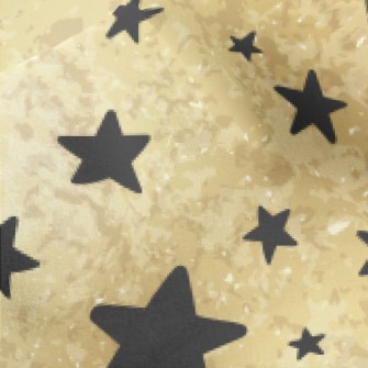 Stars Of Different Sizes Micro Fleece