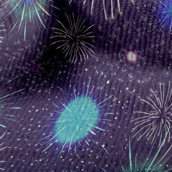 Colorful Fireworks Terry