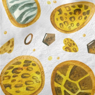 Animal Pattern Cookies Minky