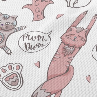 Stretching Kitten Birdseye Piqué