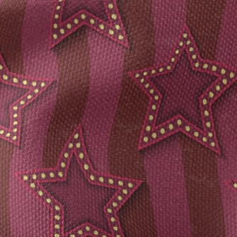 Shining Stars Waterproof Canvas