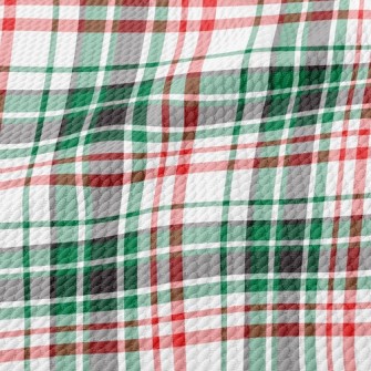 Green Red Small Plaid Birdseye Piqué