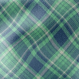 Blue And Green Plaid Waterproof Canvas