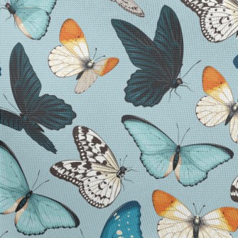 Different Colorful Butterflies Pongee