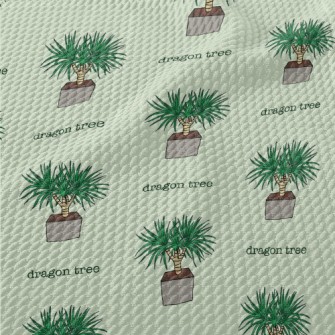 Hand Drawn Potted Dragon Tree Birdseye Piqué