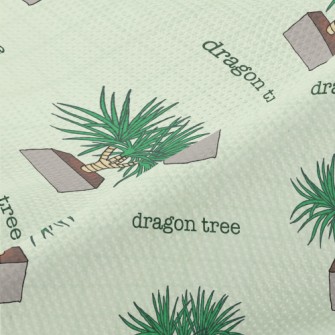 Hand Drawn Potted Dragon Tree Piqué