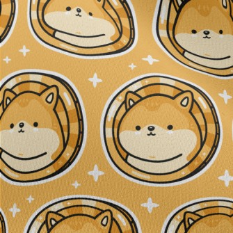 Shiba Inu Turned Into Gold Coi Chiffon