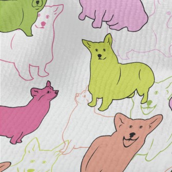 Brightly Colored Corgi Terry