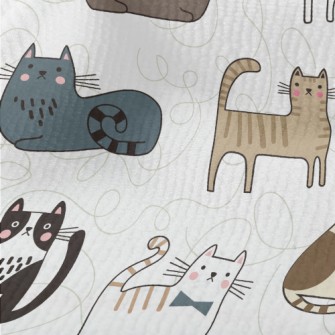 Various Cute House Cats Terry