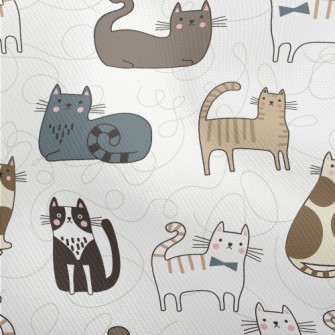 Various Cute House Cats Dobby