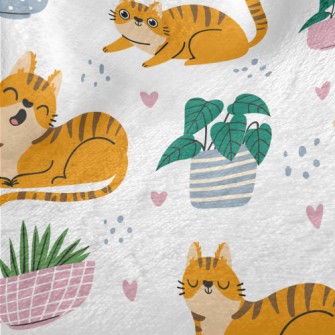 Striped Cute House Cat Minky