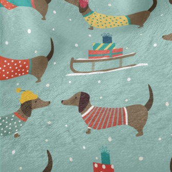 Dachshund Dressed Warmly For W Minky