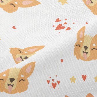 Corgi Piqué