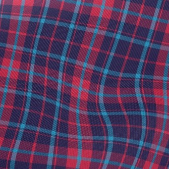 Bright Red And Blue Checkered Twill