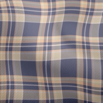 Nice Plaid Dobby