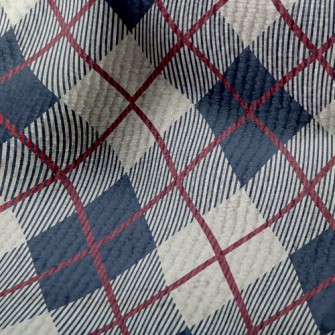Blue Scotch Plaid Terry