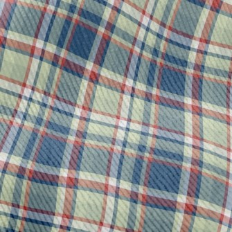 Red And Blue Small Plaid Standard Corduroy