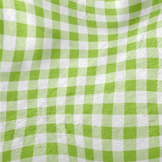 Green Checkerboard Minky