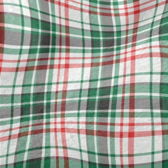 Red And Green Small Plaid Minky