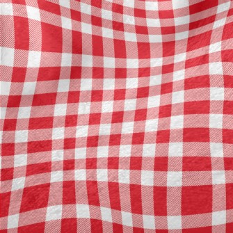 Red And White Plaid Minky