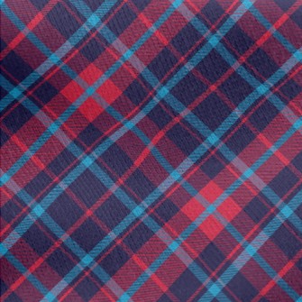 Bright Red And Blue Checkered Jersey Backed Fleece