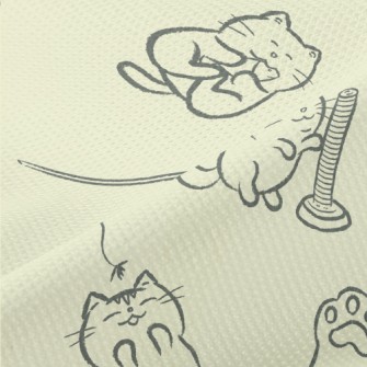 Kitten Playing Piqué