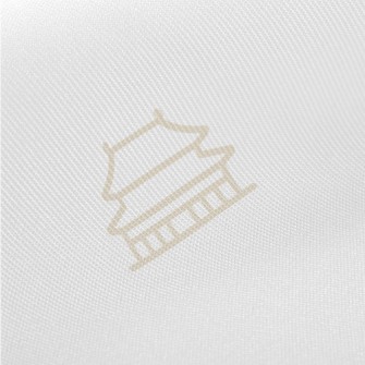 Tai Chi Temple And Dragon Patt Twill