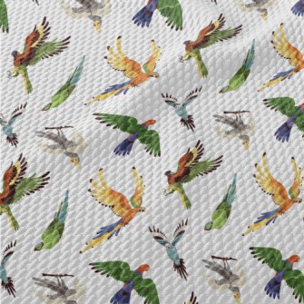 Colorful Realistic Parrot Birdseye Piqué