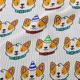 Corgi Wearing Birthday Hat Birdseye Piqué