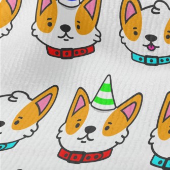 Corgi Wearing Birthday Hat Terry