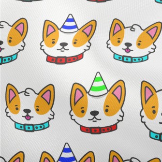 Corgi Wearing Birthday Hat Dobby