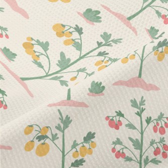 Cultivated Cherry Tomatoes Piqué