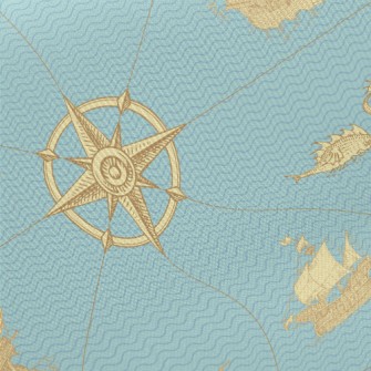 Ancient Nautical Charts Twill