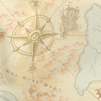 Medieval Vintage Nautical Char Stretch Ponte
