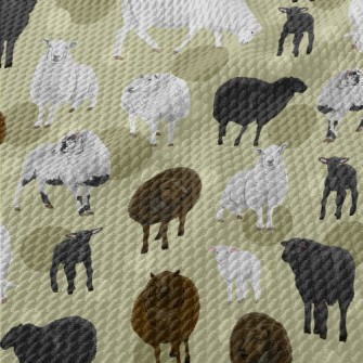 Hand Drawn Three Color Sheep Birdseye Piqué