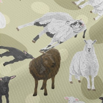 Hand Drawn Three Color Sheep Piqué