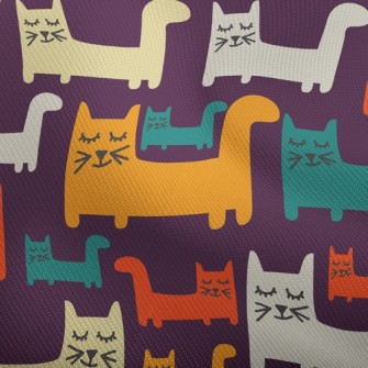 Proud Expression Kitten Dobby