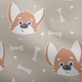 Cute Expression Corgi Dobby