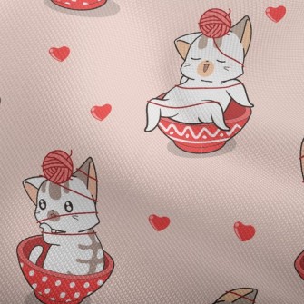 Kittens Who Love To Play With  Dobby