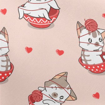 Kittens Who Love To Play With  Pongee