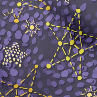 Dotted Lines Connect Stars Micro Fleece