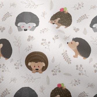 Hedgehog Looking For Food Dobby