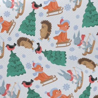 Skating Hedgehog And Skiing Ra Twill
